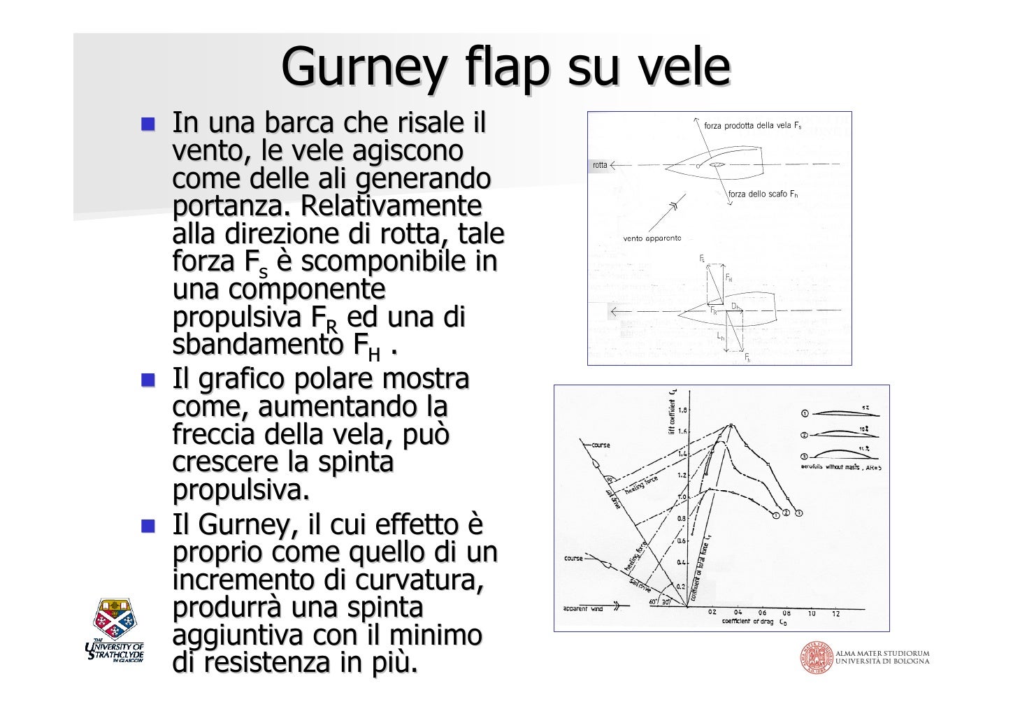 Rabobank internship picture