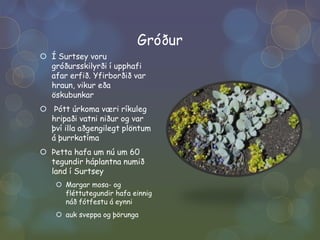 GróðurÍ Surtsey voru gróðursskilyrði í upphafi afar erfið. Yfirborðið var hraun, vikur eða öskubunkar Þótt úrkoma væri ríkuleg hripaði vatni niður og var því illa aðgengilegt plöntum á þurrkatímaÞetta hafa um nú um 60 tegundir háplantna numið land í SurtseyMargar mosa- og fléttutegundir hafa einnig náð fótfestu á eynni auk sveppa og þörunga