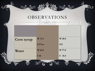 OBSERVATIONS



             W 71.3   W 48.8
Corn syrup
             S 17cm   S13

             W 62.2   W 77.0
Water
             S 14     S 18.5
 