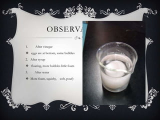OBSERVATIONS

1.     After vinegar
 eggs are at bottom, some bubbles
2. After syrup
 floating, more bubbles little foam
3.    After water
 More foam, squishy, soft, poufy
 