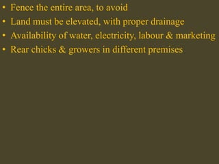 • Fence the entire area, to avoid
• Land must be elevated, with proper drainage
• Availability of water, electricity, labour & marketing
• Rear chicks & growers in different premises
 