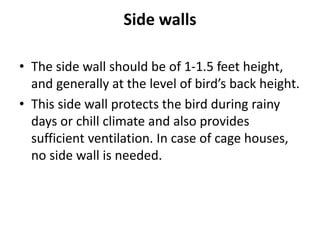 Side walls
• The side wall should be of 1-1.5 feet height,
and generally at the level of bird’s back height.
• This side wall protects the bird during rainy
days or chill climate and also provides
sufficient ventilation. In case of cage houses,
no side wall is needed.
 