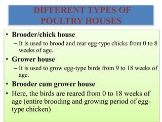 DIFFERENT TYPES OF
POULTRY HOUSES
• Brooder/chick house
– It is used to brood and rear egg-type chicks from 0 to 8
weeks of age.
• Grower house
– It is used to grow egg-type birds from 9 to 18 weeks of
age.
• Brooder cum grower house
• Here, the birds are reared from 0 to 18 weeks of
age (entire brooding and growing period of egg-
type chicken)
 