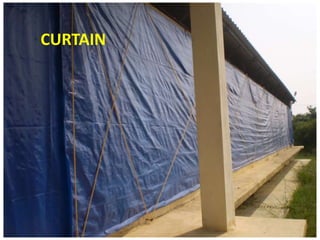 CURTAIN
 