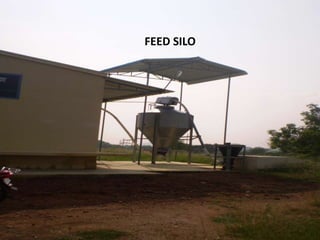 FEED SILO
 