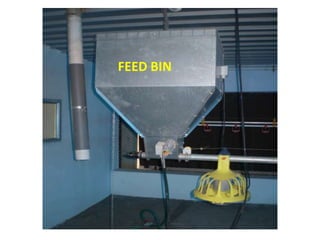 FEED BIN
 