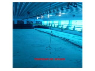TEMPERATURE SENSOR
 