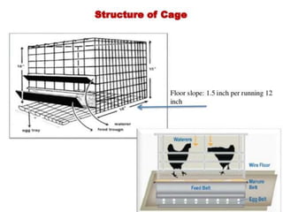 Poultry Housing