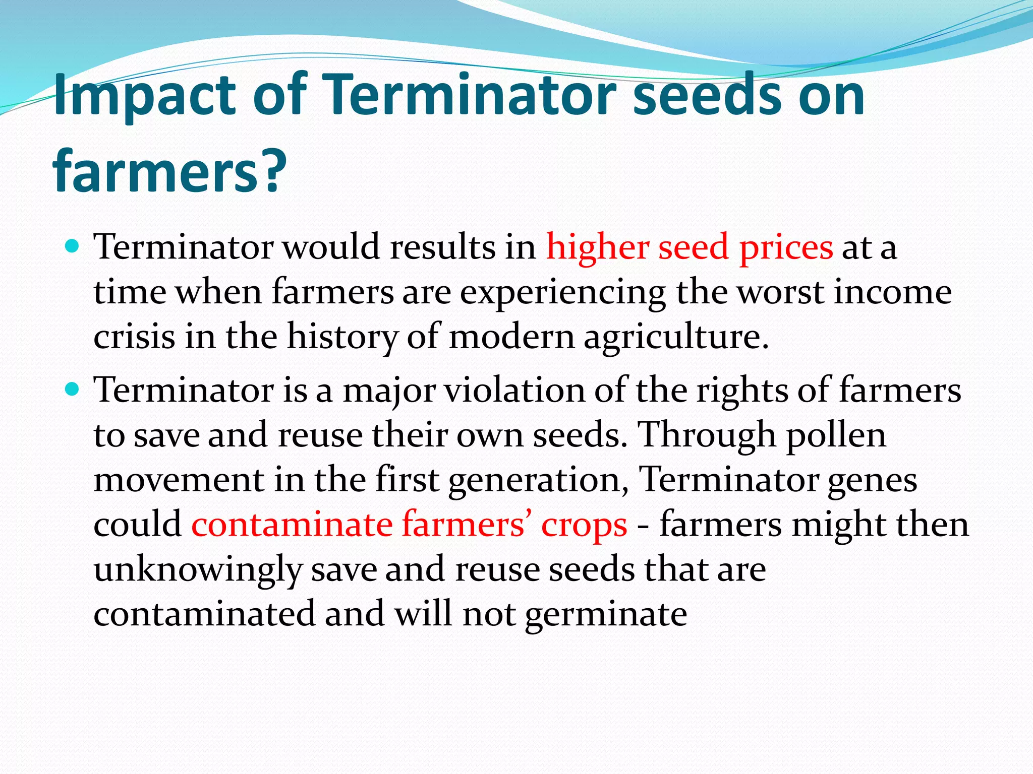 Impact of Terminator seeds on
farmers?
 Terminator would results in higher seed prices at a
time when farmers are experiencing the worst income
crisis in the history of modern agriculture.
 Terminator is a major violation of the rights of farmers
to save and reuse their own seeds. Through pollen
movement in the first generation, Terminator genes
could contaminate farmers’ crops - farmers might then
unknowingly save and reuse seeds that are
contaminated and will not germinate
 