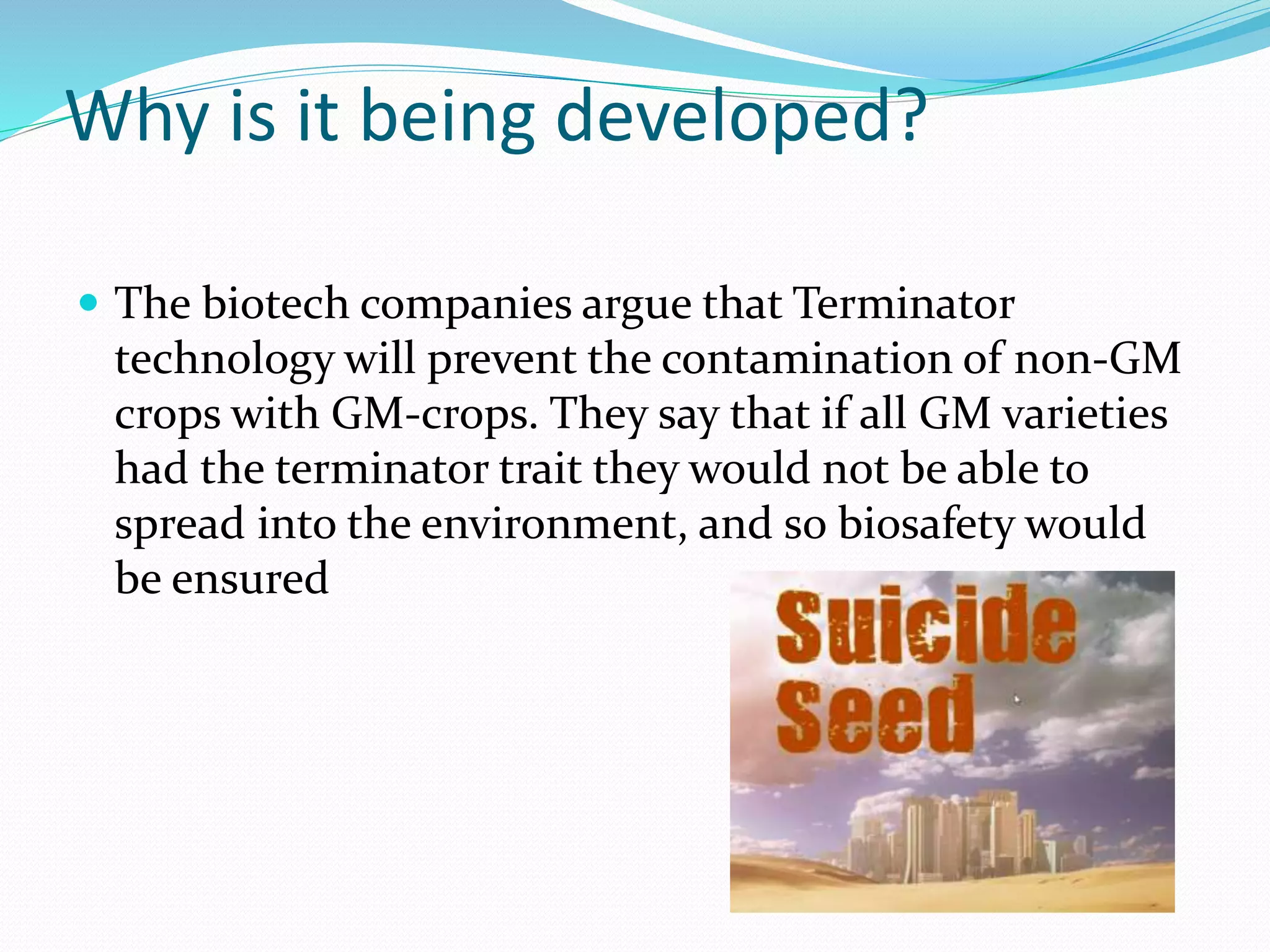 Why is it being developed?
 The biotech companies argue that Terminator
technology will prevent the contamination of non-GM
crops with GM-crops. They say that if all GM varieties
had the terminator trait they would not be able to
spread into the environment, and so biosafety would
be ensured
 
