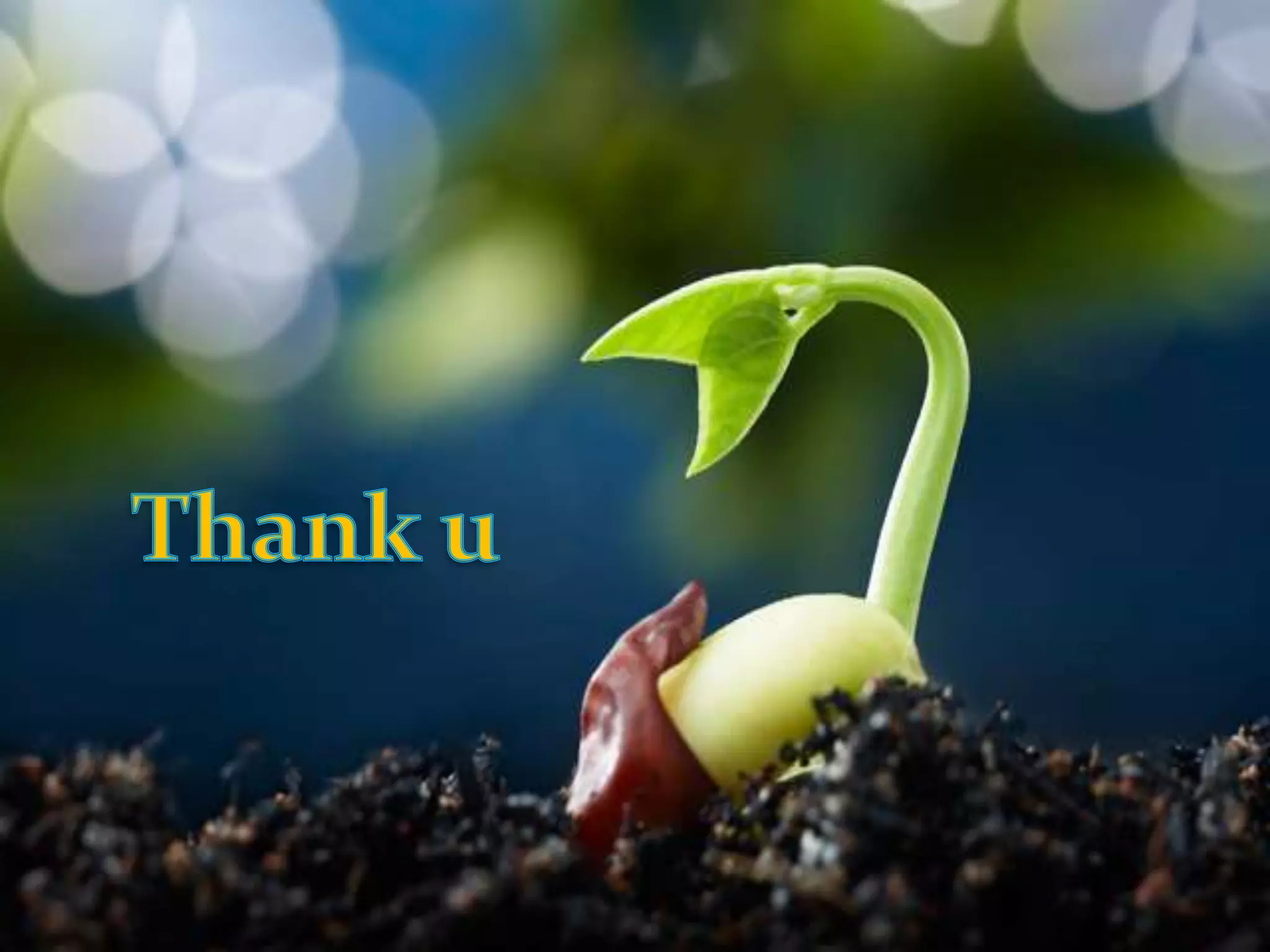 GURT (Genetic use restriction technology)