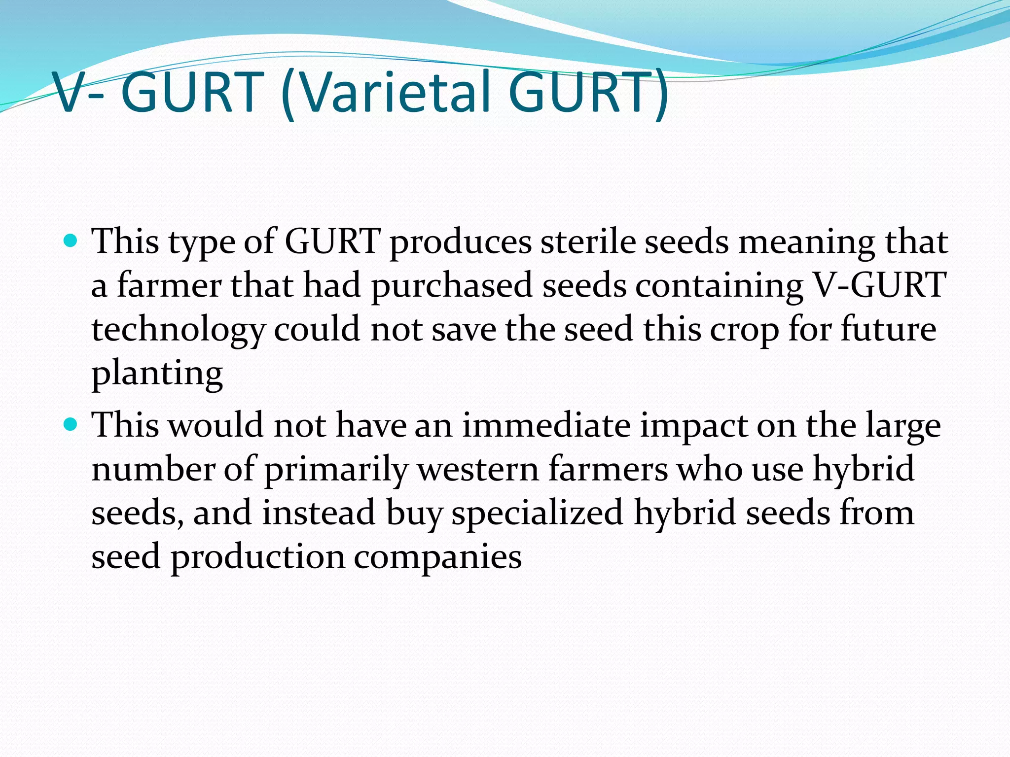 V- GURT (Varietal GURT)
 This type of GURT produces sterile seeds meaning that
a farmer that had purchased seeds containing V-GURT
technology could not save the seed this crop for future
planting
 This would not have an immediate impact on the large
number of primarily western farmers who use hybrid
seeds, and instead buy specialized hybrid seeds from
seed production companies
 