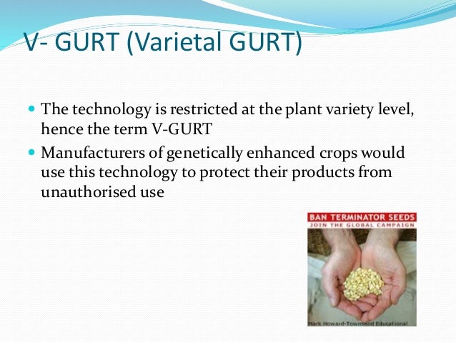 GURT (Genetic use restriction technology)