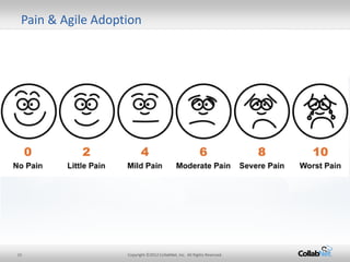 15 
Copyright ©2012 CollabNet, Inc. All Rights Reserved. 
Pain & Agile Adoption  
