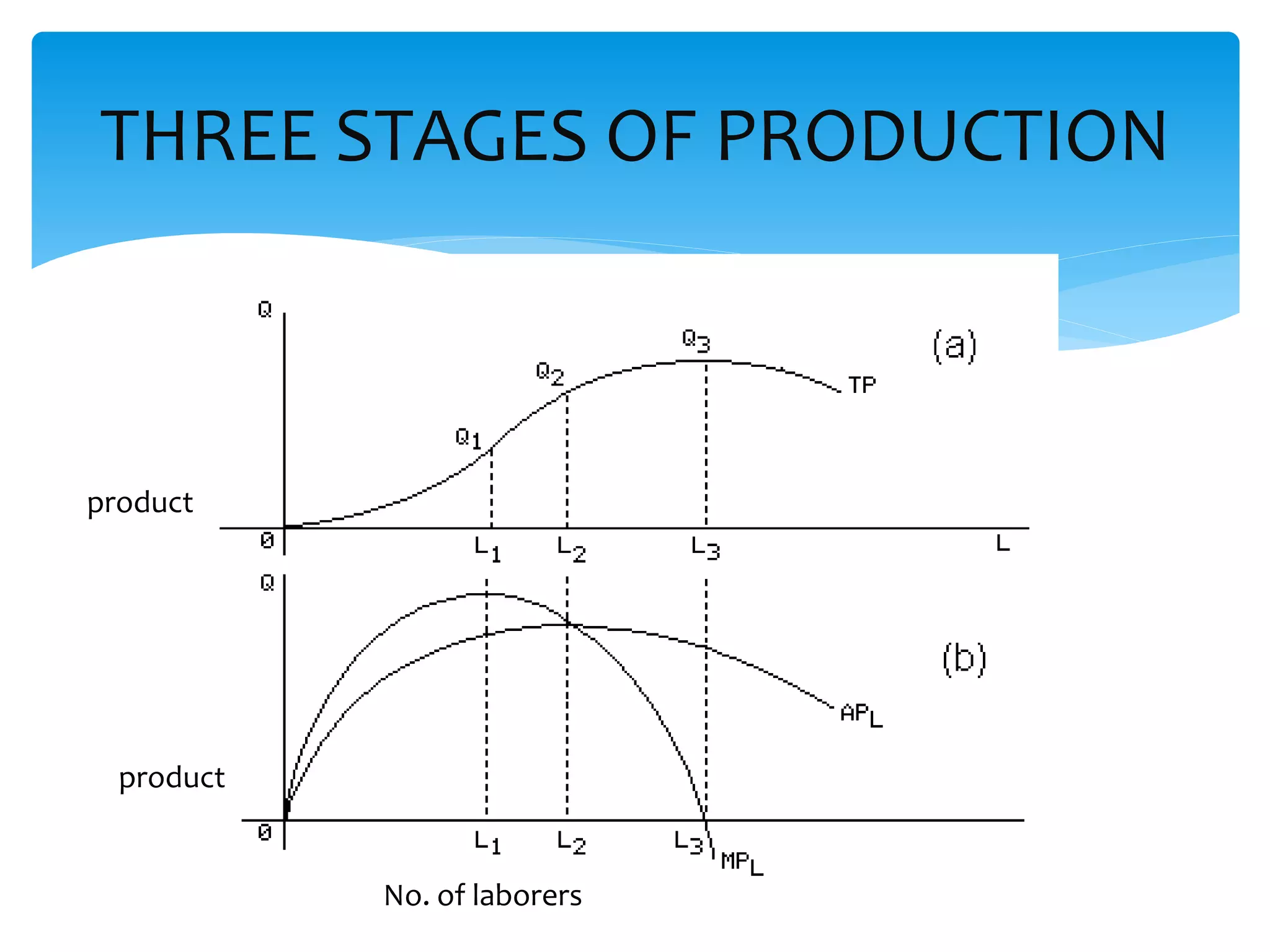 THREE STAGES OF PRODUCTION
product
product
No. of laborers
 
