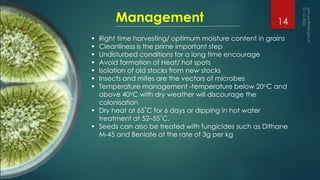 Management
▪ Right time harvesting/ optimum moisture content in grains
▪ Cleanliness is the prime important step
▪ Undisturbed conditions for a long time encourage
▪ Avoid formation of Heat/ hot spots
▪ Isolation of old stocks from new stocks
▪ Insects and mites are the vectors of microbes
▪ Temperature management -temperature below 20oC and
above 40oC with dry weather will discourage the
colonisation
▪ Dry heat at 65˚C for 6 days or dipping in hot water
treatment at 52–55˚C.
▪ Seeds can also be treated with fungicides such as Dithane
M-45 and Benlate at the rate of 3g per kg
14
 