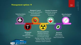 Chemical Treatments
Insecticide fumigants
Carbon dioxide
Protectants
Natural products
Inert Dusts
Botanical
Derivatives
Plant powders
Plant Essential Oils
Physical treatments:
Modified/ Hermetic/
Controlled atmosphere
Low Pressure storage
Heating/ cooling: Mechanical,
Dielctric heating, Ionizing
Radiation, Ozone Treatment
Mechanical
methods
Mechanical devices
and traps
Biotechnological
Interventions
Biological Control
Parasitoids and Predators
Semiochemicals
Entomopathogens
Management options → 31
 