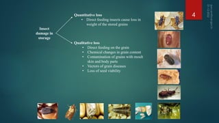 Quantitative loss
• Direct feeding insects cause loss in
weight of the stored grains
Qualitative loss
• Direct feeding on the grain
• Chemical changes in grain content
• Contamination of grains with moult
skin and body parts
• Vectors of grain diseases
• Loss of seed viability
Insect
damage in
storage
4
 