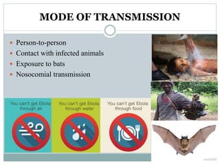 MODE OF TRANSMISSION 
 Person-to-person 
 Contact with infected animals 
 Exposure to bats 
 Nosocomial transmission 
 