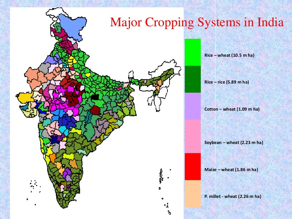 Rice Based Cropping System rice-based-cropping-system