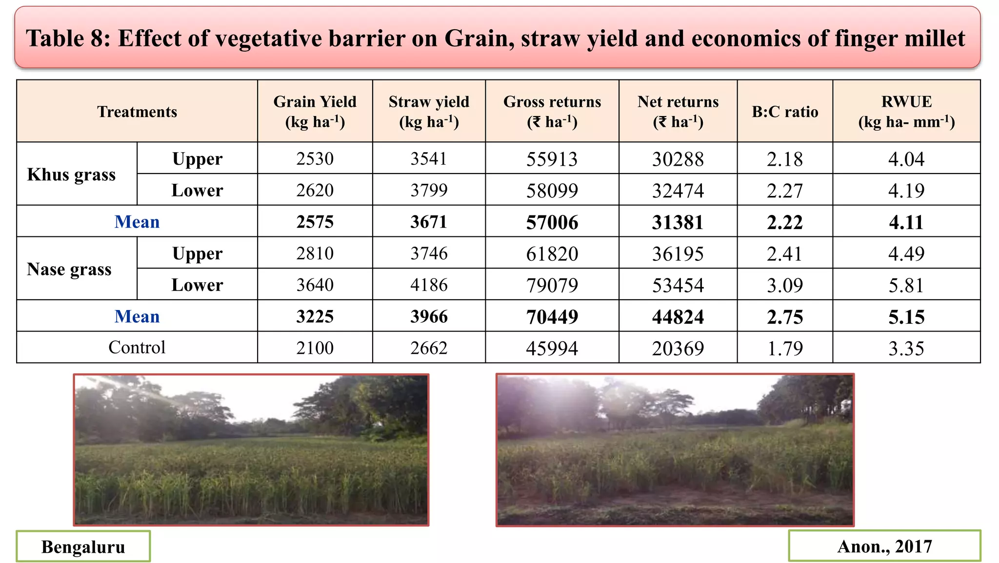 Treatments
Grain Yield
(kg ha-1)
Straw yield
(kg ha-1)
Gross returns
(₹ ha-1)
Net returns
(₹ ha-1)
B:C ratio
RWUE
(kg ha- mm-1)
Khus grass
Upper 2530 3541 55913 30288 2.18 4.04
Lower 2620 3799 58099 32474 2.27 4.19
Mean 2575 3671 57006 31381 2.22 4.11
Nase grass
Upper 2810 3746 61820 36195 2.41 4.49
Lower 3640 4186 79079 53454 3.09 5.81
Mean 3225 3966 70449 44824 2.75 5.15
Control 2100 2662 45994 20369 1.79 3.35
Table 8: Effect of vegetative barrier on Grain, straw yield and economics of finger millet
Anon., 2017
Bengaluru
 