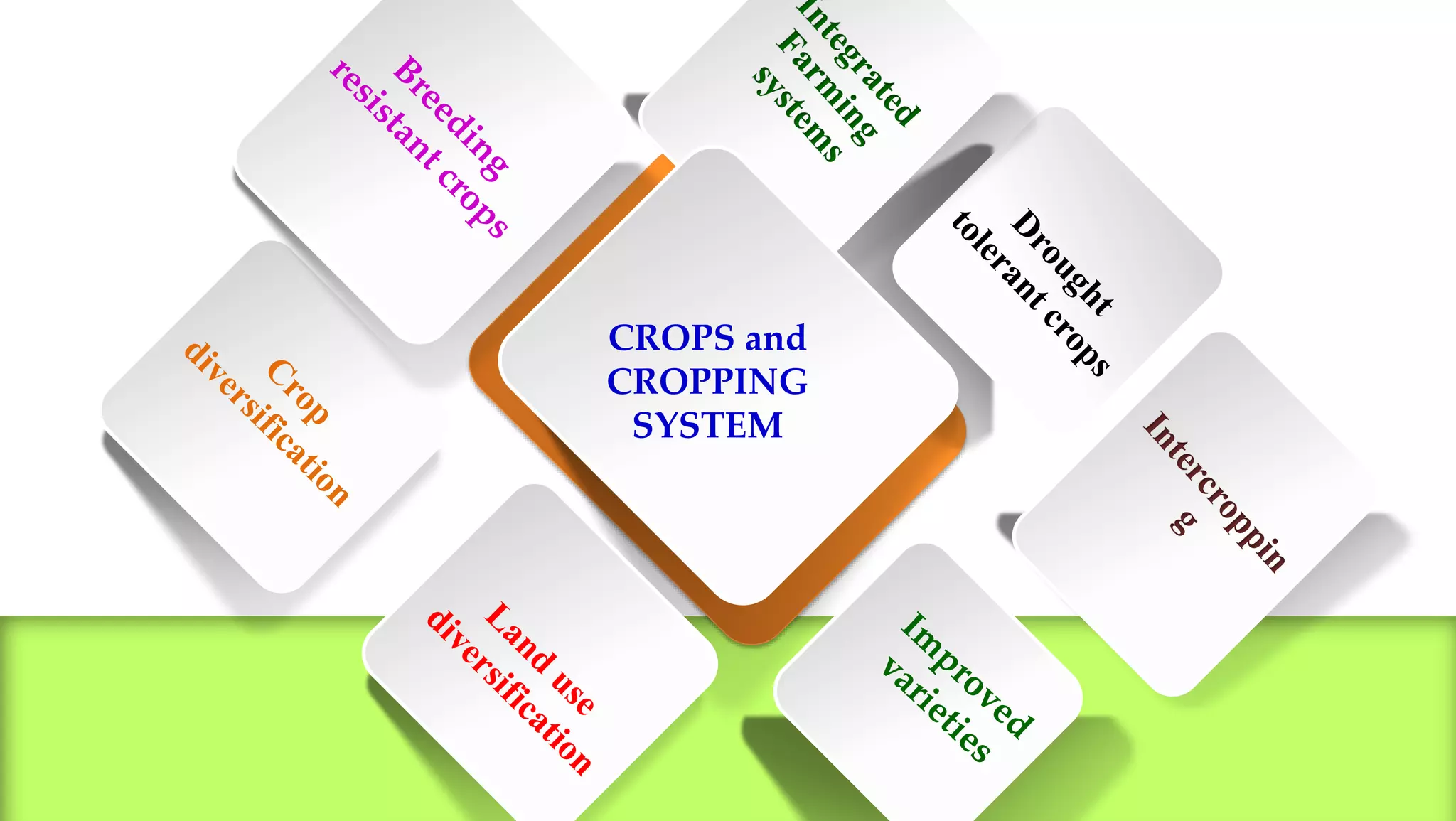 CROPS and
CROPPING
SYSTEM
 