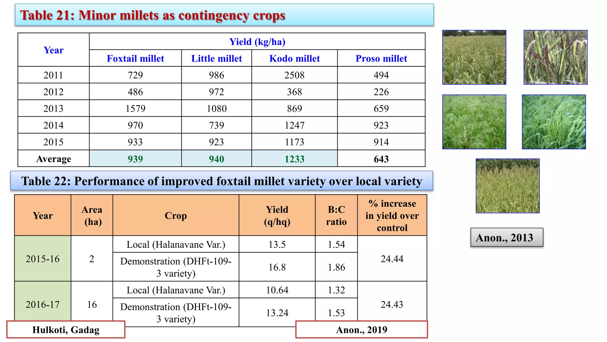 Table 22: Performance of improved foxtail millet variety over local variety
Year
Area
(ha)
Crop
Yield
(q/hq)
B:C
ratio
% increase
in yield over
control
2015-16 2
Local (Halanavane Var.) 13.5 1.54
24.44
Demonstration (DHFt-109-
3 variety)
16.8 1.86
2016-17 16
Local (Halanavane Var.) 10.64 1.32
24.43
Demonstration (DHFt-109-
3 variety)
13.24 1.53
Anon., 2019
Hulkoti, Gadag
Year
Yield (kg/ha)
Foxtail millet Little millet Kodo millet Proso millet
2011 729 986 2508 494
2012 486 972 368 226
2013 1579 1080 869 659
2014 970 739 1247 923
2015 933 923 1173 914
Average 939 940 1233 643
Table 21: Minor millets as contingency crops
Anon., 2013
 