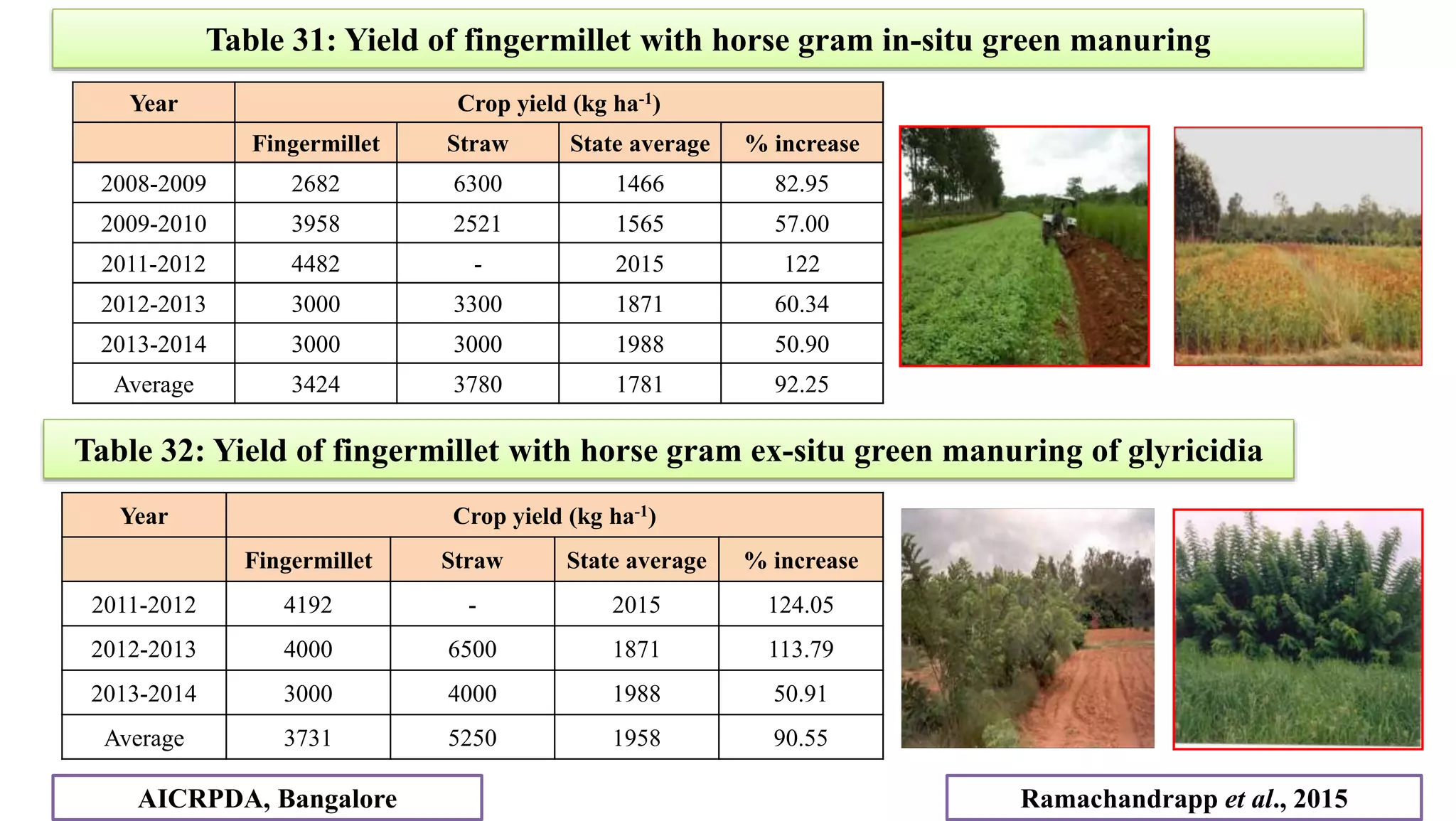 Table 31: Yield of fingermillet with horse gram in-situ green manuring
Year Crop yield (kg ha-1)
Fingermillet Straw State average % increase
2008-2009 2682 6300 1466 82.95
2009-2010 3958 2521 1565 57.00
2011-2012 4482 - 2015 122
2012-2013 3000 3300 1871 60.34
2013-2014 3000 3000 1988 50.90
Average 3424 3780 1781 92.25
Table 32: Yield of fingermillet with horse gram ex-situ green manuring of glyricidia
Year Crop yield (kg ha-1)
Fingermillet Straw State average % increase
2011-2012 4192 - 2015 124.05
2012-2013 4000 6500 1871 113.79
2013-2014 3000 4000 1988 50.91
Average 3731 5250 1958 90.55
Ramachandrapp et al., 2015
AICRPDA, Bangalore
 