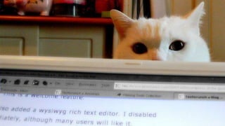 como pessoa revisora
 