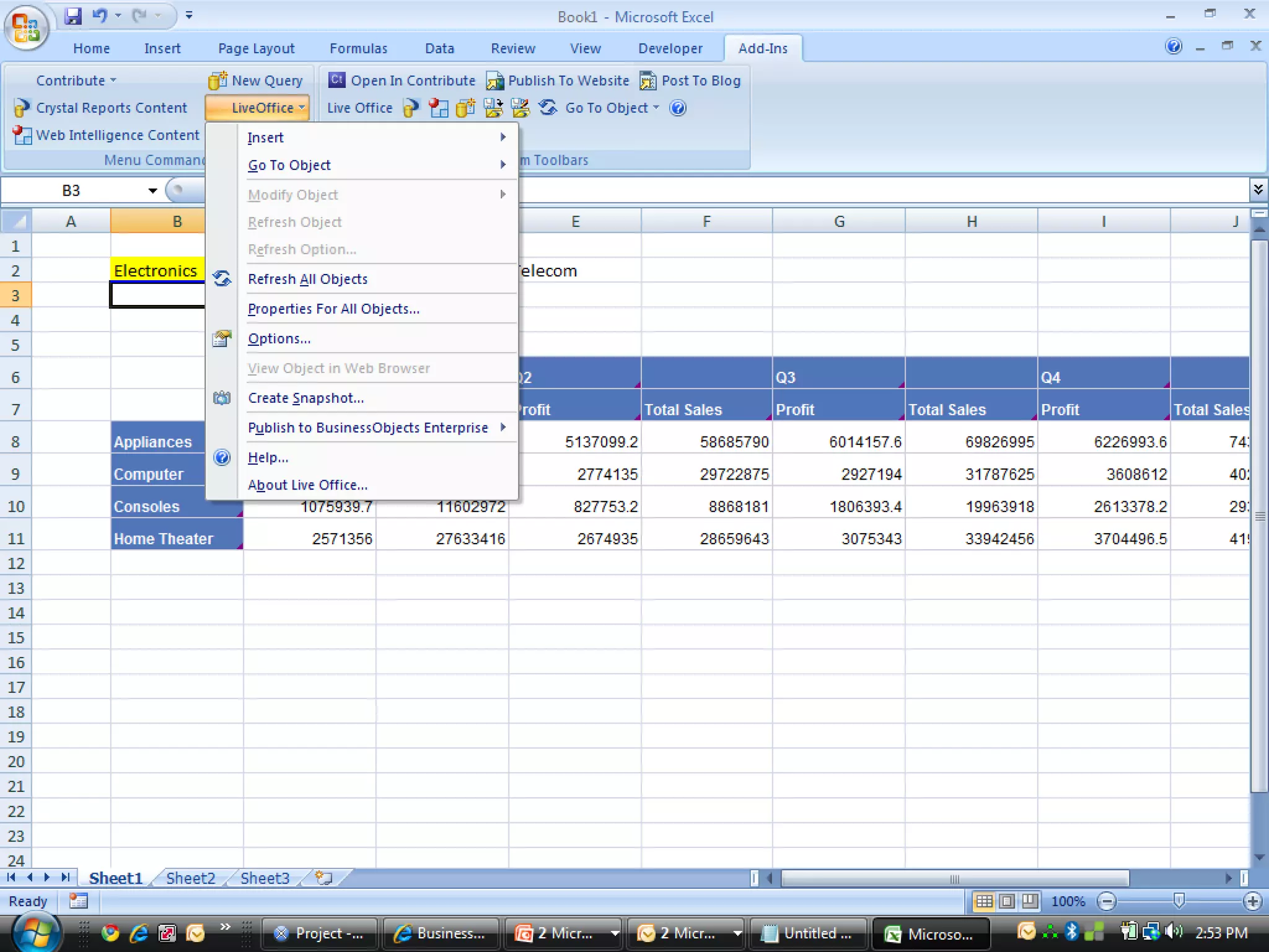 Xcelsius Gurus: SAP Webinar Part 1 - When to Utilize SAP BOBJ Enterprise for your Dashboard?