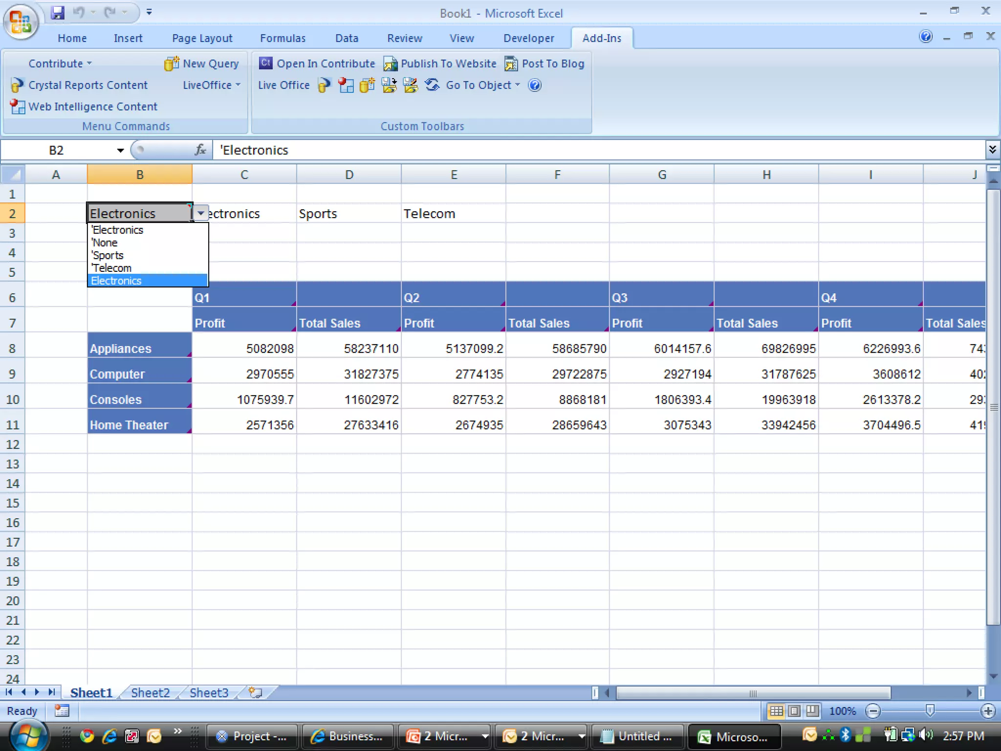 Xcelsius Gurus: SAP Webinar Part 1 - When to Utilize SAP BOBJ Enterprise for your Dashboard?