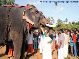 An woman devotee during Elephant Feast

 