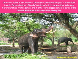 Guruvayur which is also known as Guruvayoor or Gurupavanapuri, is a municipal
town in Thrissur District, of Kerala State in India. It is renowned for its famous
Guruvayur Shree Krishna temple and it is the fourth biggest temple in terms of the
devotee who attends the prayer house every day.

Anakotta in Guruvayur

 