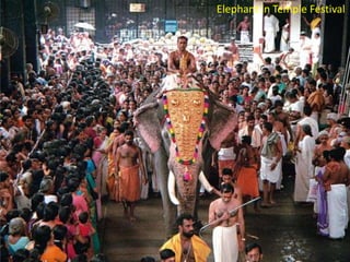 Elephant in Temple Festival

 