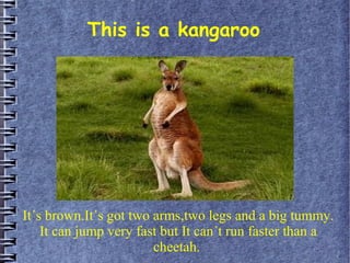 This is a kangaroo
It´s brown.It´s got two arms,two legs and a big tummy.
It can jump very fast but It can´t run faster than a
cheetah.
 