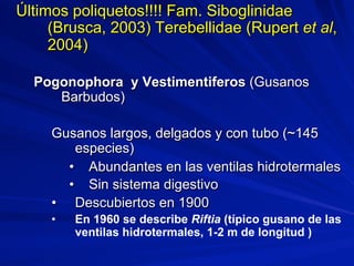 Últimos poliquetos!!!! Fam. Siboglinidae
(Brusca, 2003) Terebellidae (Rupert et al,
2004)
Pogonophora y Vestimentiferos (Gusanos
Barbudos)
Gusanos largos, delgados y con tubo (~145
especies)
•  Abundantes en las ventilas hidrotermales
•  Sin sistema digestivo
•  Descubiertos en 1900
•  En 1960 se describe Riftia (típico gusano de las
ventilas hidrotermales, 1-2 m de longitud )
 