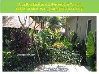 Wa Isat 0858 5471 7388 Landscape Taman Depan Rumah