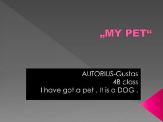My petGusta. my pet