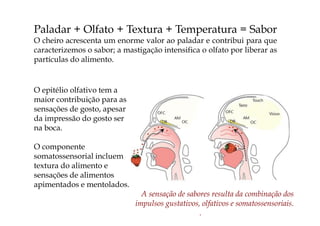 O epitélio olfativo tem a
maior contribuição para as
sensações de gosto, apesar
da impressão do gosto ser
na boca.
O componente
somatossensorial incluem
textura do alimento e
sensações de alimentos
apimentados e mentolados.
A sensação de sabores resulta da combinação dos
impulsos gustativos, olfativos e somatossensoriais.
.
Paladar + Olfato + Textura + Temperatura = Sabor
O cheiro acrescenta um enorme valor ao paladar e contribui para que
caracterizemos o sabor; a mastigação intensifica o olfato por liberar as
partículas do alimento.
 