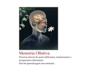 Memória Olfativa
Processo através do qual codificamos, armazenamos e
recuperamos informação.
Não há aprendizagem sem memória.
 