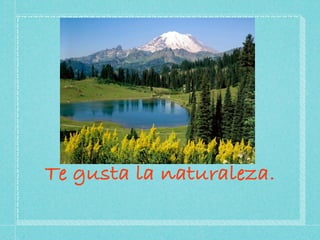 Te gusta la naturaleza.
 
