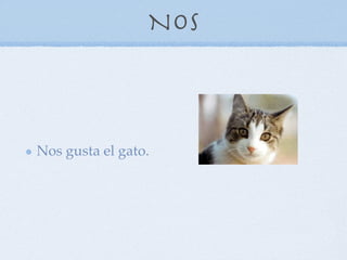 Nos



Nos gusta el gato.
 