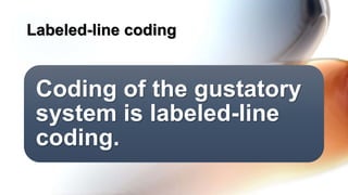 Coding of the gustatory
system is labeled-line
coding.
Labeled-line coding
 