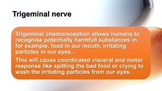 Trigeminal chemoreception allows humans to
recognise potentially harmfull substances in,
for example, food in our mouth, irritating
particles in our eyes...
This will cause coordinated visceral and motor
response like spitting the bad food or crying to
wash the irritating particles from our eyes.
Trigeminal nerve
 