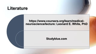 https://www.coursera.org/learn/medical-
neuroscience/lecture: Leonard E. White, PhD
Studyblue.com
Literature
 