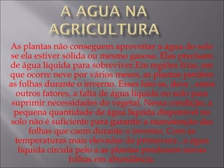 As plantas não conseguem aproveitar a água do solo
se ela estiver sólida ou mesmo gasosa. Elas precisam
de água líquida para sobreviver.Em regiões frias, em
que ocorre neve por vários meses, as plantas perdem
as folhas durante o inverno. Esses fato se, deve , entre
outros fatores, a falta de água líquida no solo para
suprimir necessidades do vegetal. Nessa condição, a
pequena quantidade de água líquida disponível no
solo não é suficiente para garantir a manutenção das
folhas que caem durante o inverno. Com as
temperaturas mais elevadas da primavera , a água
líquida circula pelo a as plantas produzem novas
folhas em abundância.
 