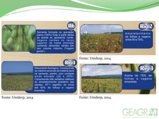 Fonte: Uniderp, 2014. Fonte: Uniderp, 2014.
Fonte: Uniderp, 2014.
 