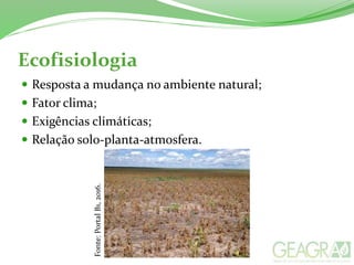 Ecofisiologia
 Resposta a mudança no ambiente natural;
 Fator clima;
 Exigências climáticas;
 Relação solo-planta-atmosfera.
Fonte:PortalB1,2016.
 