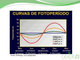 Fonte: Embrapa, 2017 (adaptado).
 