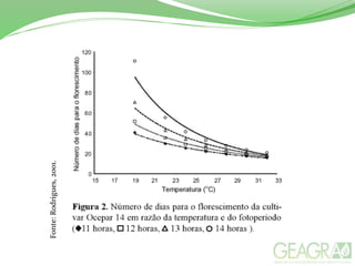 Fonte:Rodrigues,2001.
 